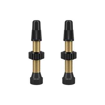 WTB Tubeless szingó szelep garnitúra [34 mm]