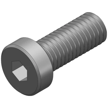 S_1199 - Screw_DIN 7984_M8x20 black thread lock
