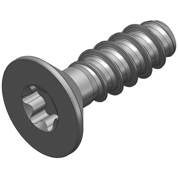 S_1590 - Screw_WN_5454_30x10-TX10 Black