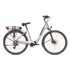 Kép 1/2 - Rock Machine Cityride e100 SD elektromos városi kerékpár [44 cm (M), matt ezüst]